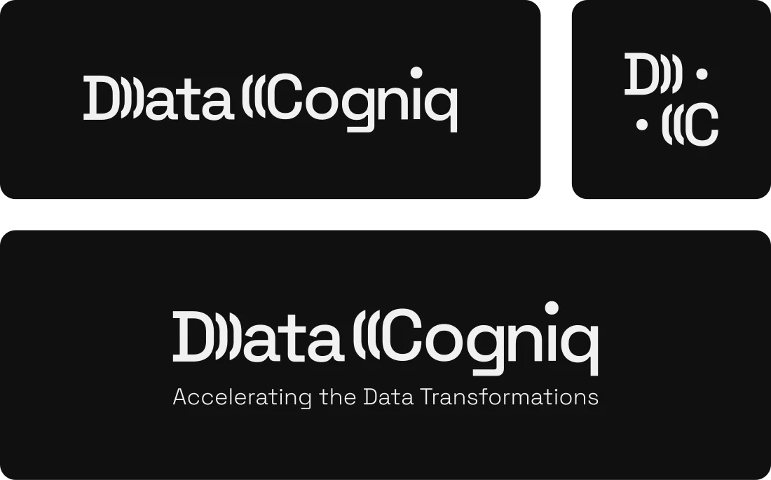 datacogniq wordmark and monogram exploration