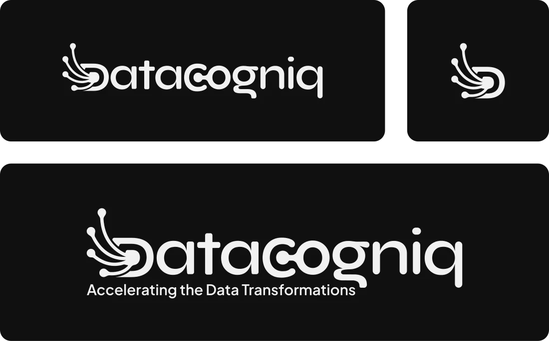 datacogniq final-direction exploration